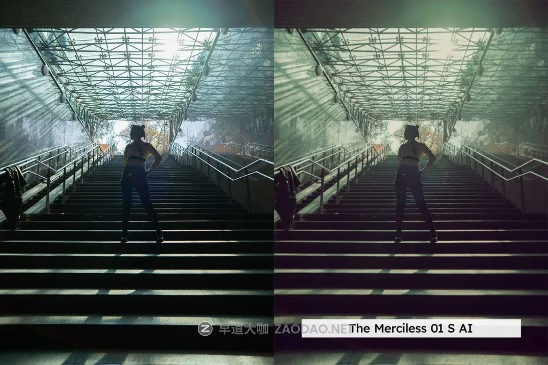 202409187lmg0 202409187lmg0