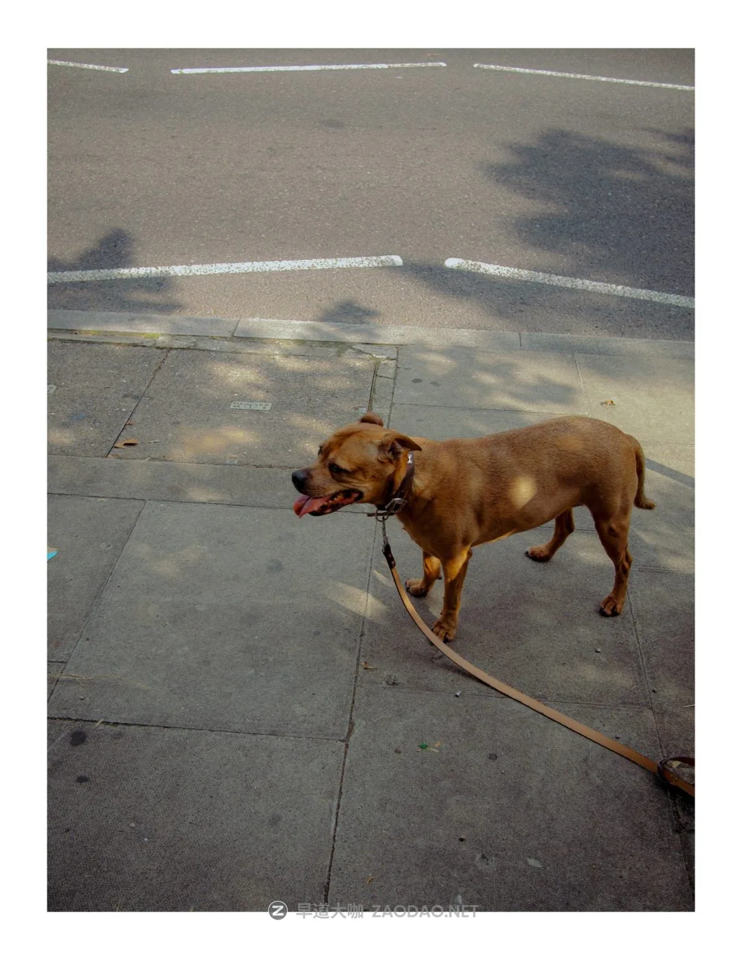 20240918fwh5v 20240918fwh5v