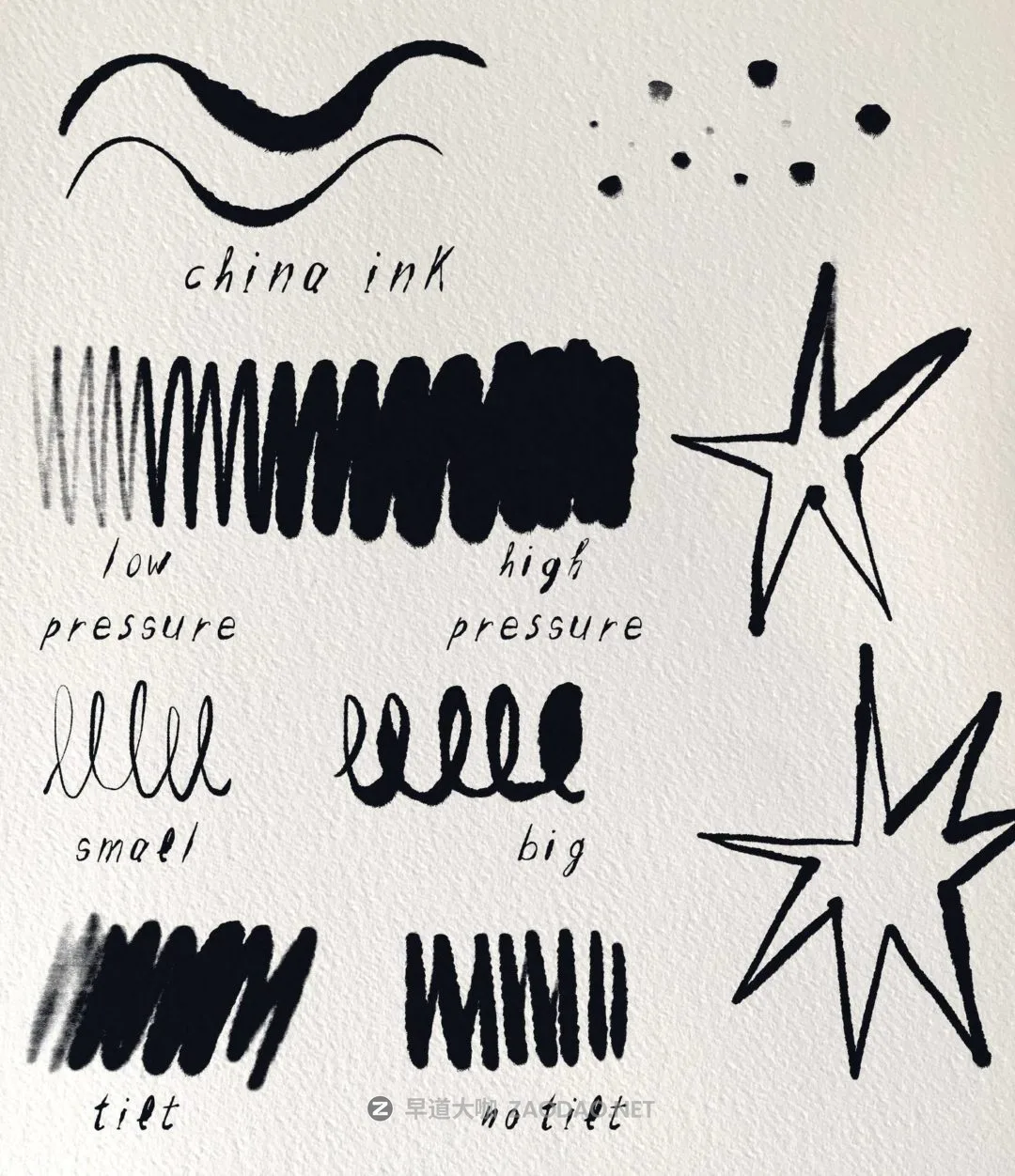 2024091925f8y 2024091925f8y