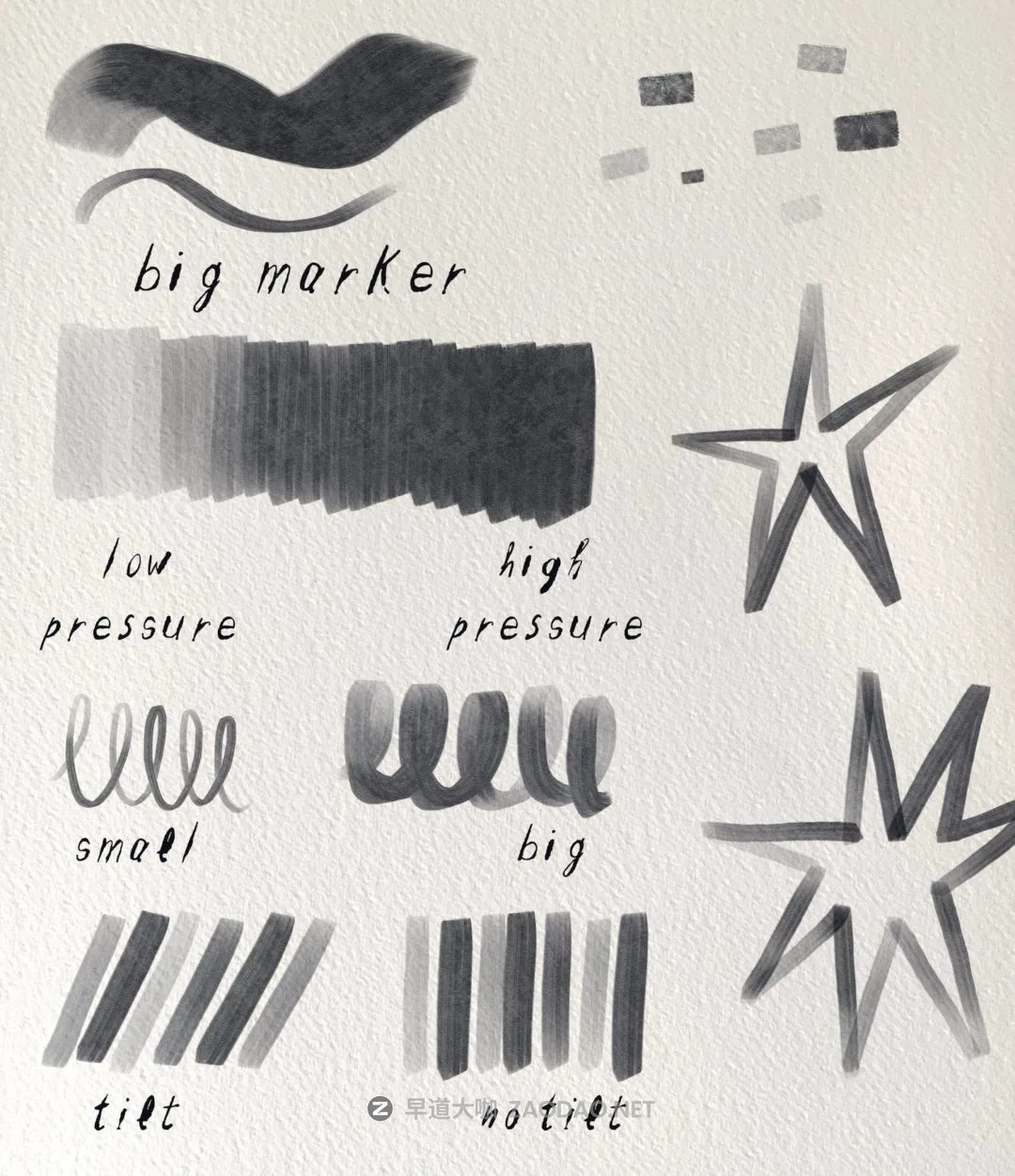 20240919500sg 20240919500sg