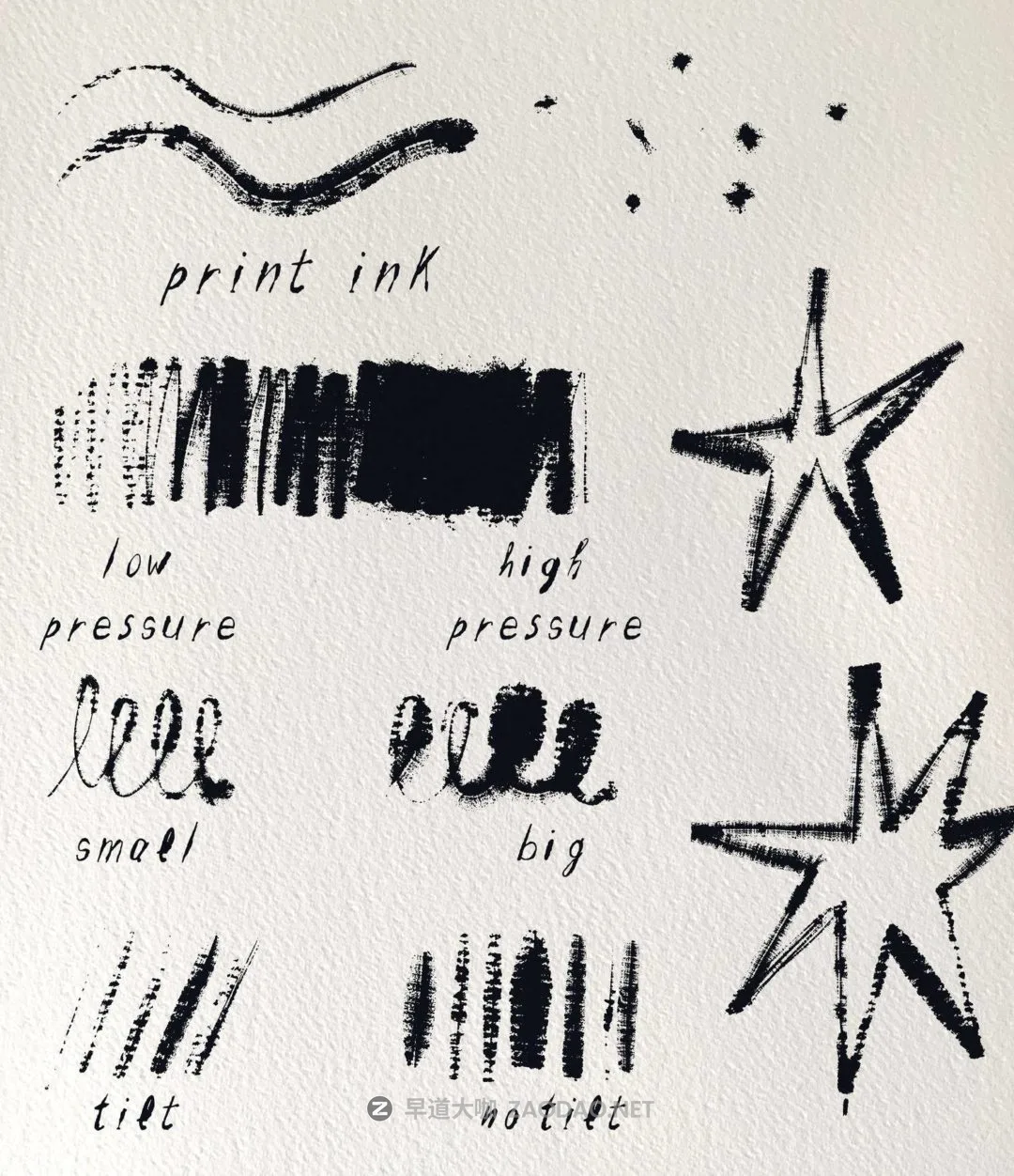 202409195wmk9 202409195wmk9