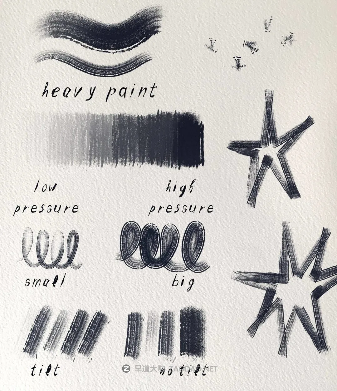 202409197w8p0 202409197w8p0