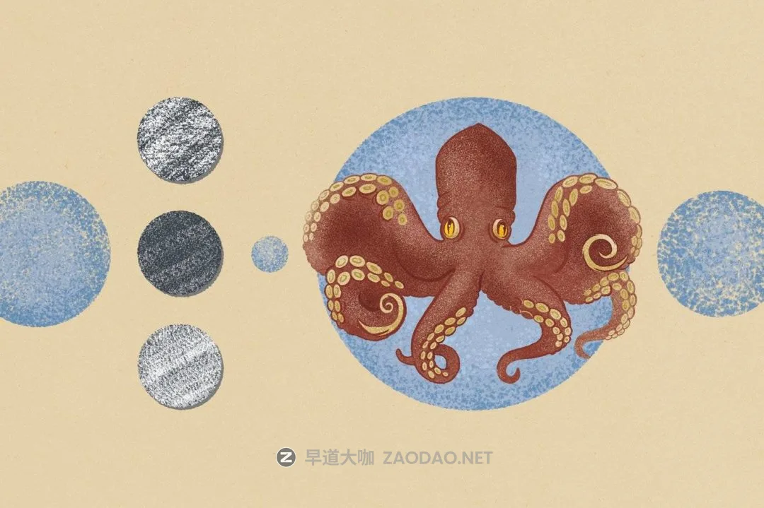 2024091995az2 2024091995az2