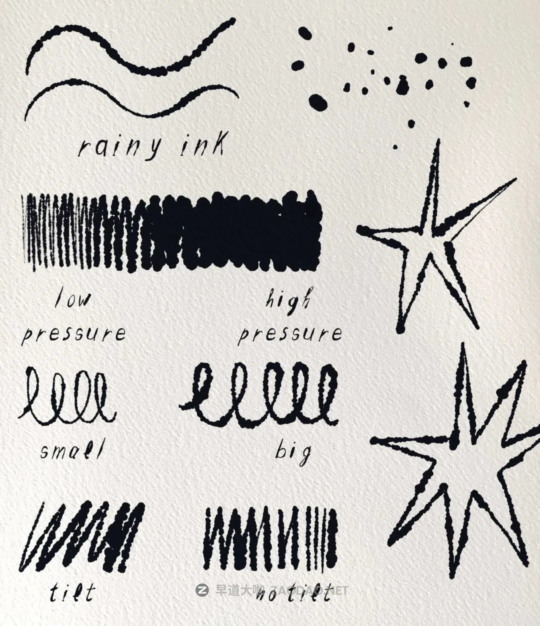 20240919q25cg 20240919q25cg