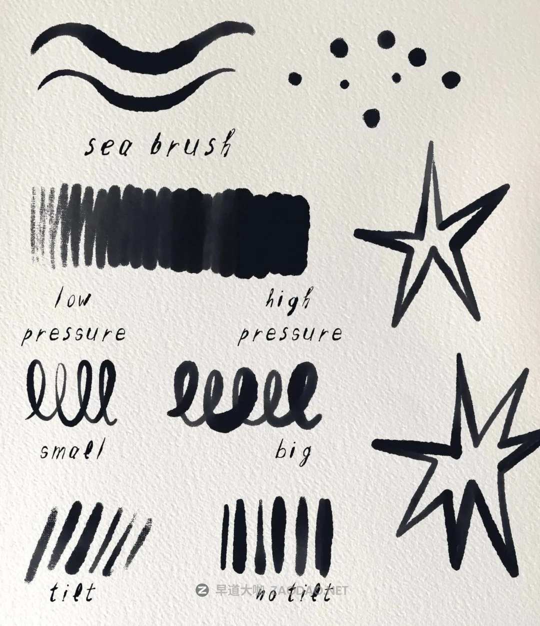 20240919y7hpd 20240919y7hpd