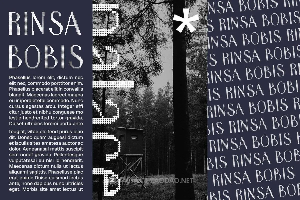 202409203eos0 202409203eos0