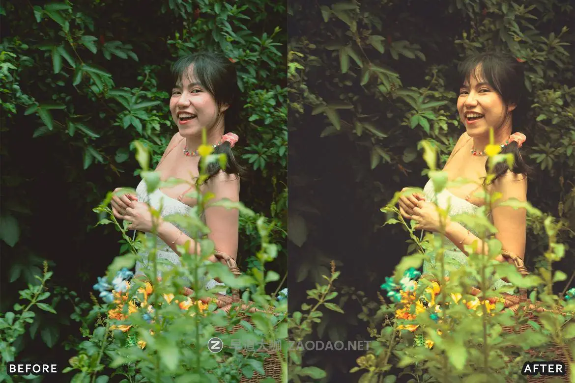 20240921m8spz 20240921m8spz