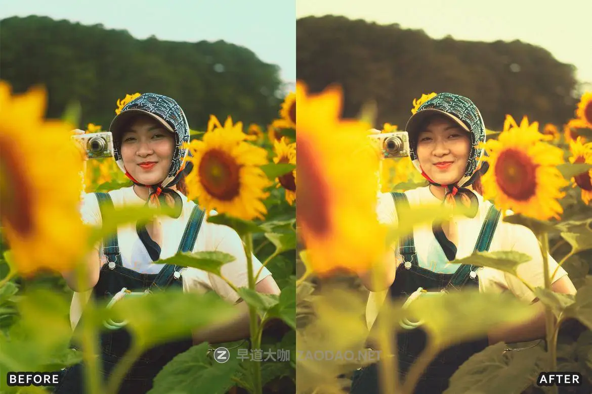 20240921mjf2a 20240921mjf2a