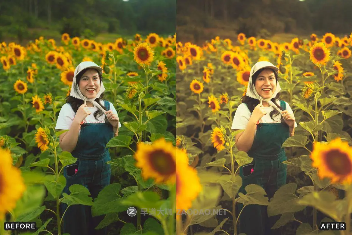 20240921mv6yo 20240921mv6yo