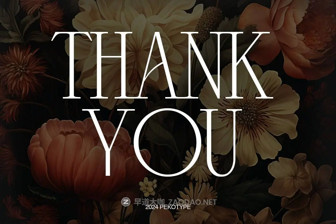 20240921ry648 20240921ry648