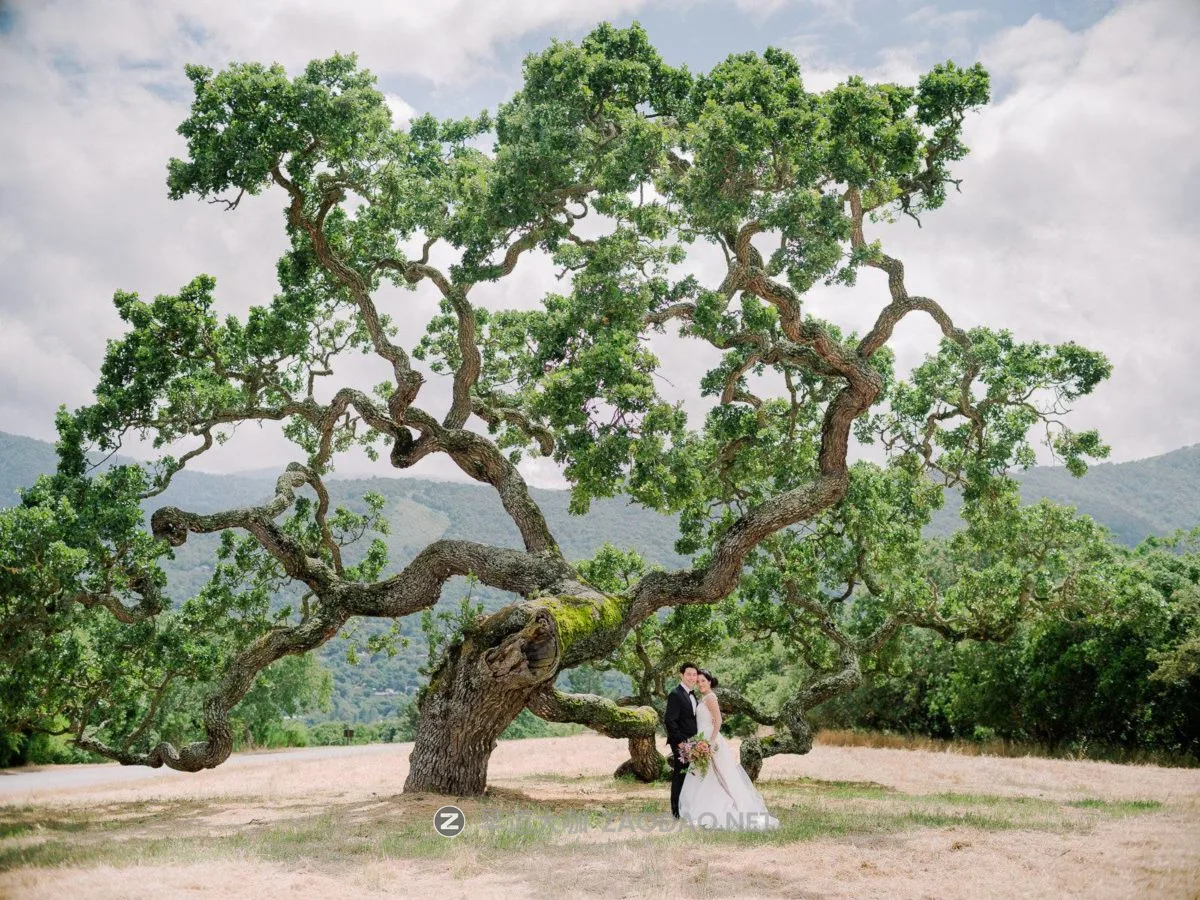 20240922ek5z1 20240922ek5z1