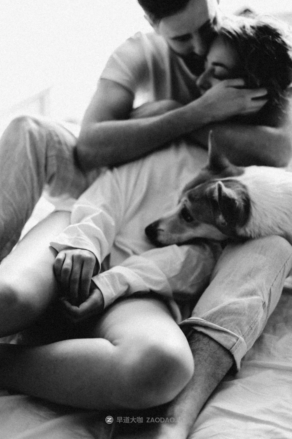 20240923i1p0e 20240923i1p0e