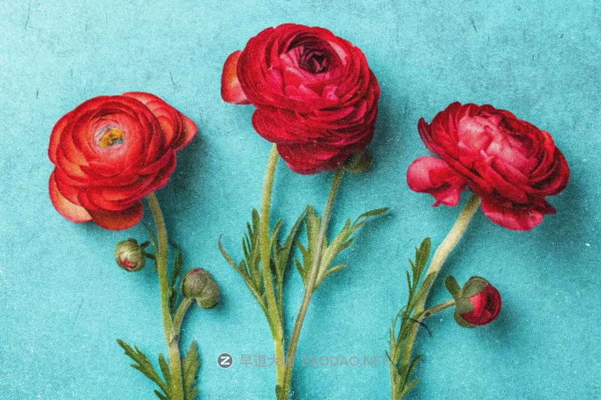 2024092500np6 2024092500np6