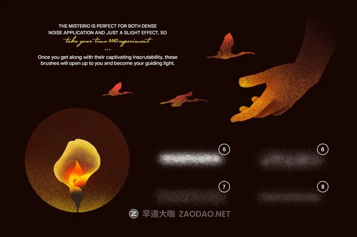 20240926rfdwt 20240926rfdwt