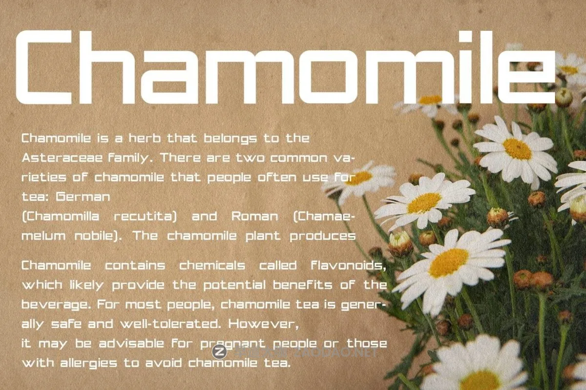 202409277rcwc 202409277rcwc