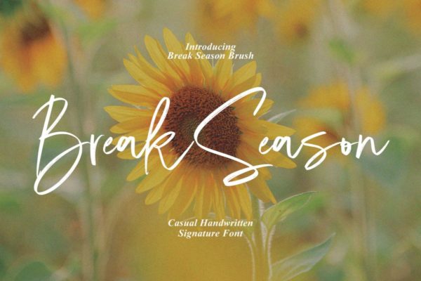 现代杂志海报徽标设计手写英文字体安装包 Break Season – Casual Signature