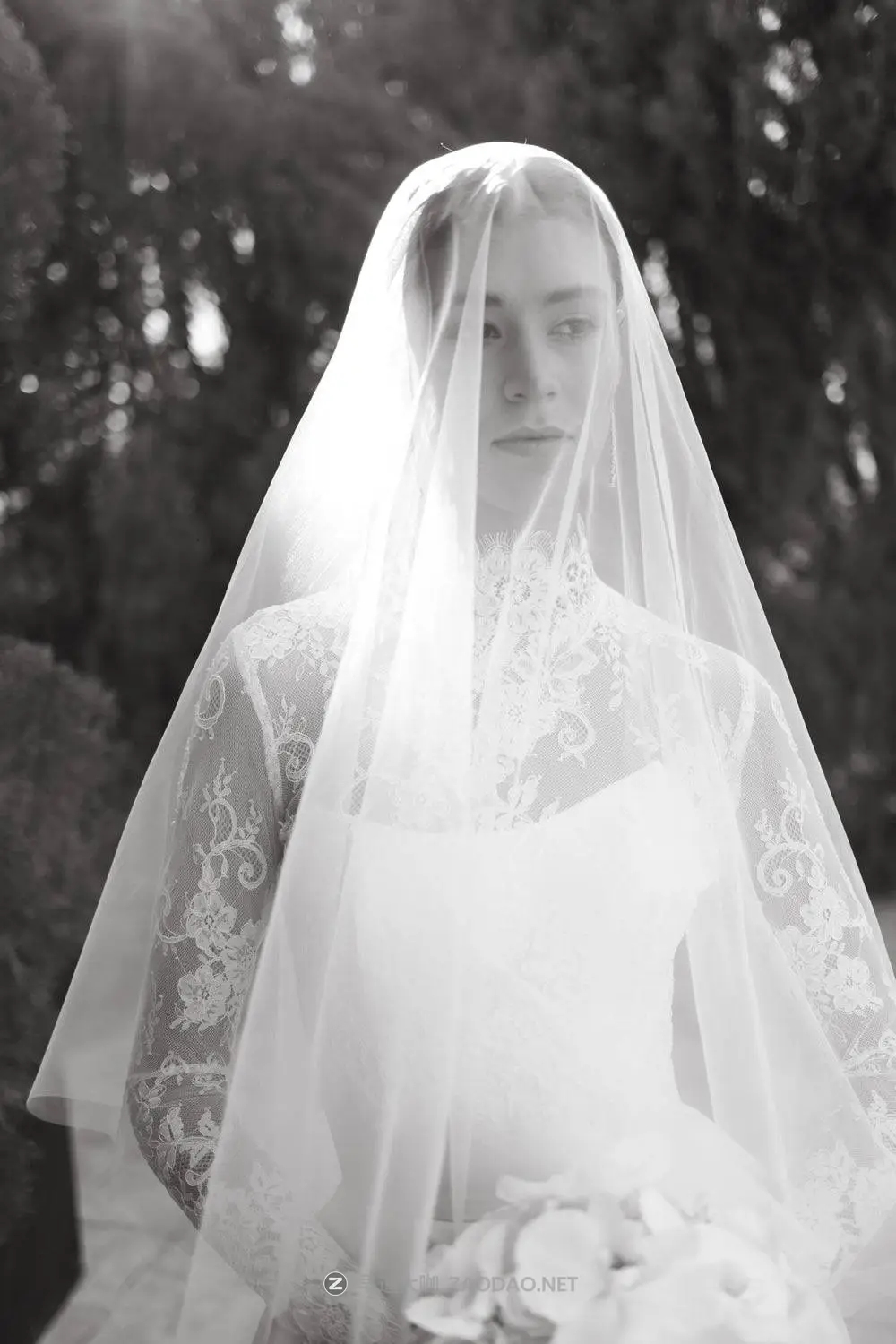 2024092833n1n 2024092833n1n