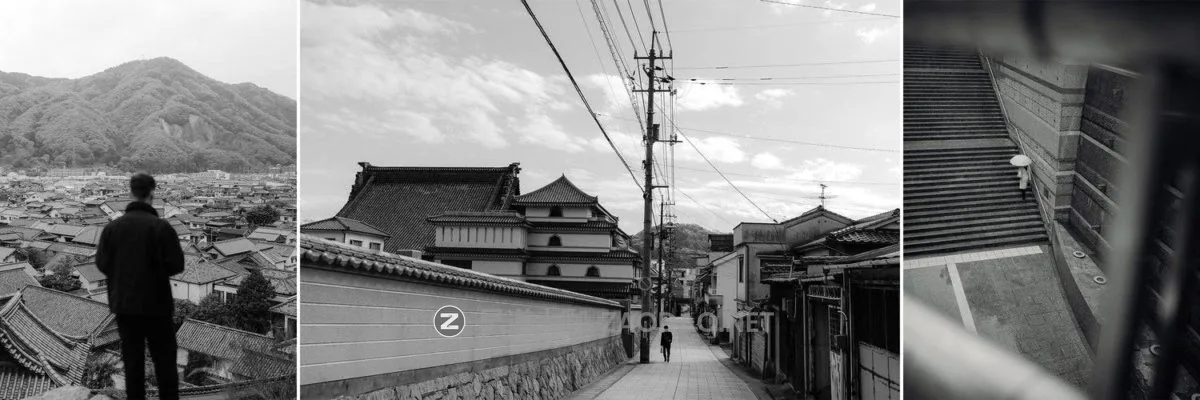 20240928mctzn 20240928mctzn