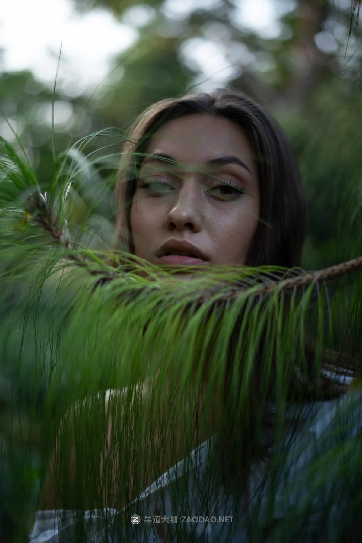 202409300okec 202409300okec