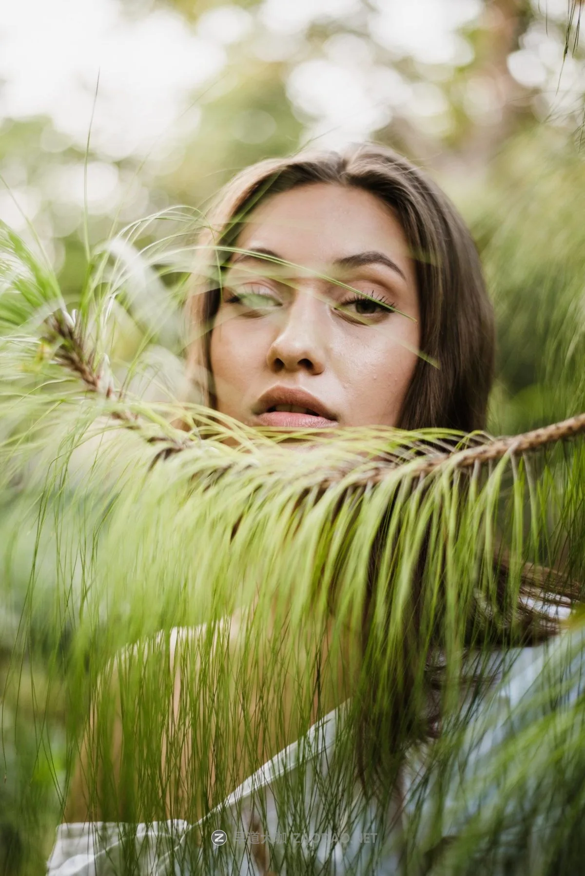 202409300zx8g 202409300zx8g