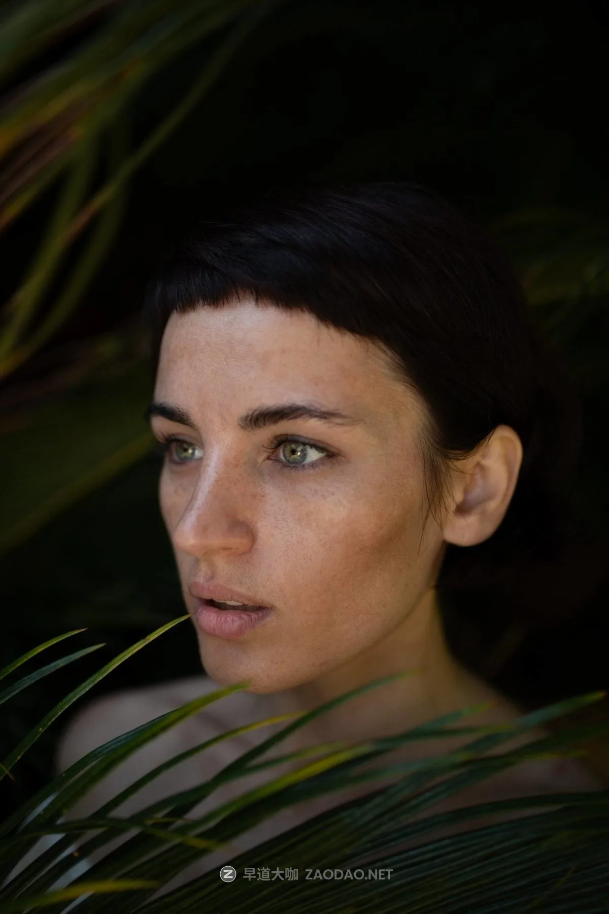 202409308s2us 202409308s2us