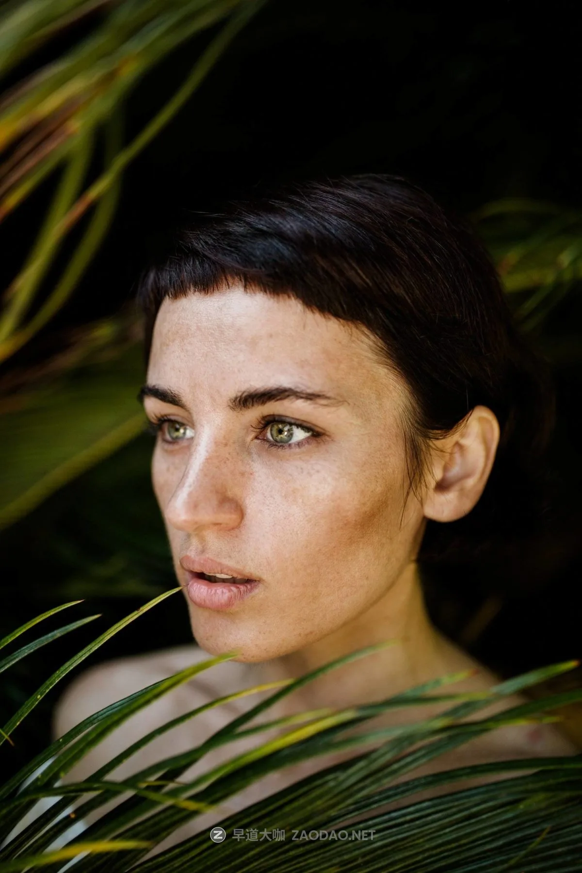 20240930ev2dy 20240930ev2dy