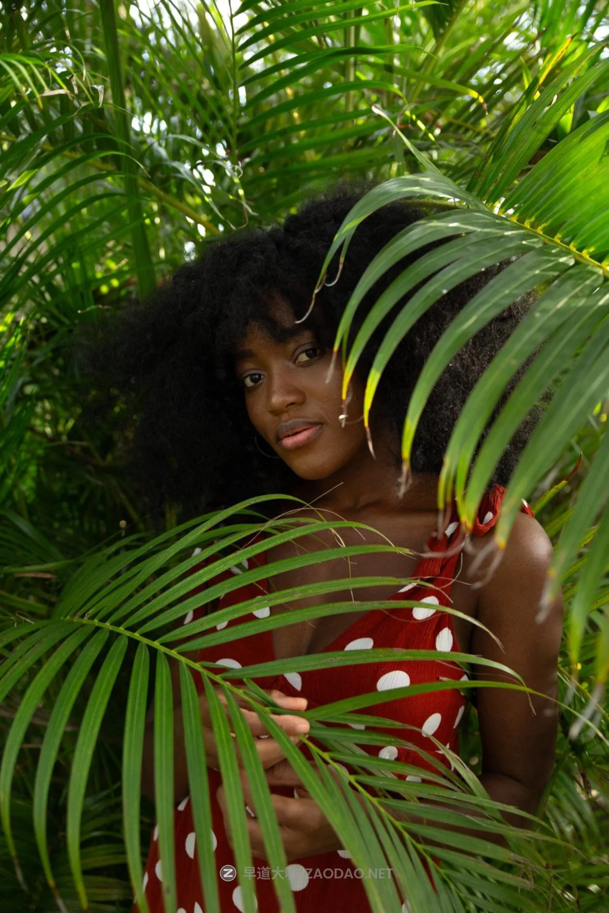 20240930t5k1k 20240930t5k1k