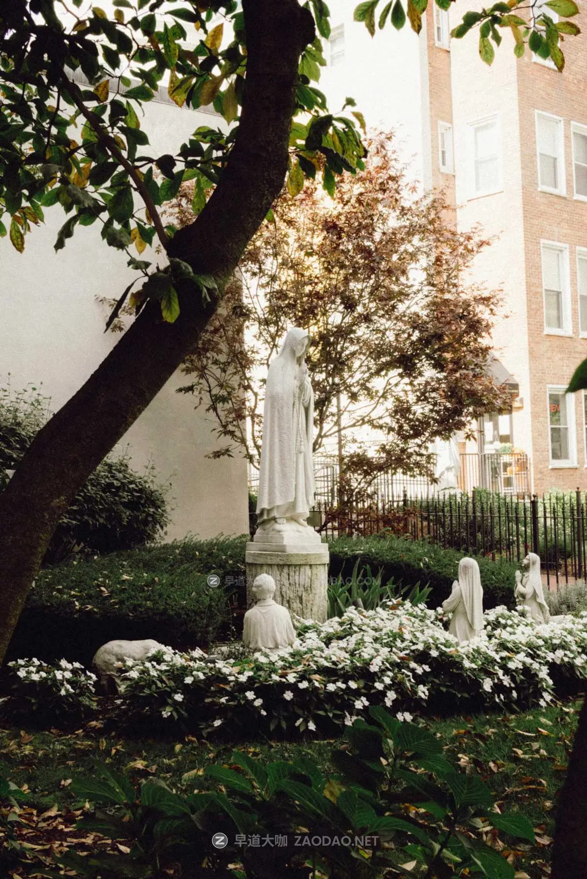 永恒经典怀旧电影胶片颗粒纹理效果摄影照片调色Lightroom预设包 Caleb Salvadori – Film Preset Collection V4插图7 永恒经典怀旧电影胶片颗粒纹理效果摄影照片调色Lightroom预设包 Caleb Salvadori – Film Preset Collection V4插图7