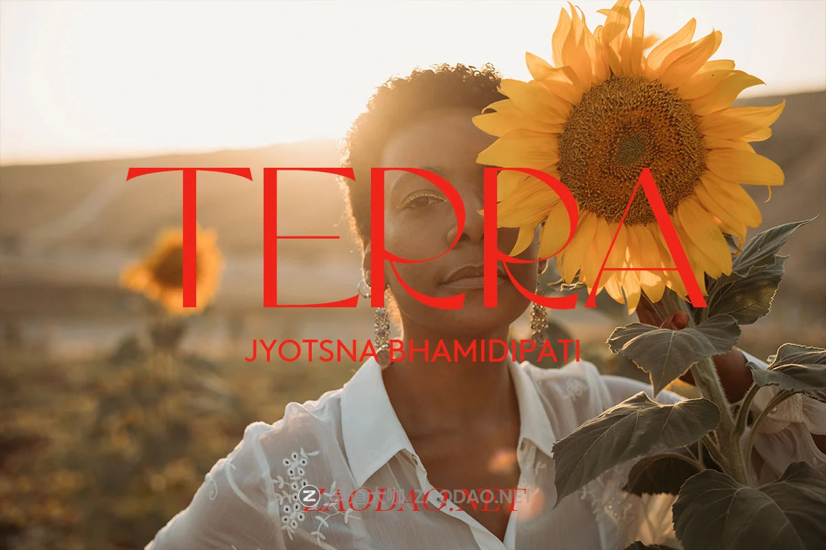 15款电影外观暖色橙色泥土色调黑白调摄影人文照片调色LR预设包 Meridian – Jyotsna Bhamidipati – Terra插图 15款电影外观暖色橙色泥土色调黑白调摄影人文照片调色LR预设包 Meridian – Jyotsna Bhamidipati – Terra插图