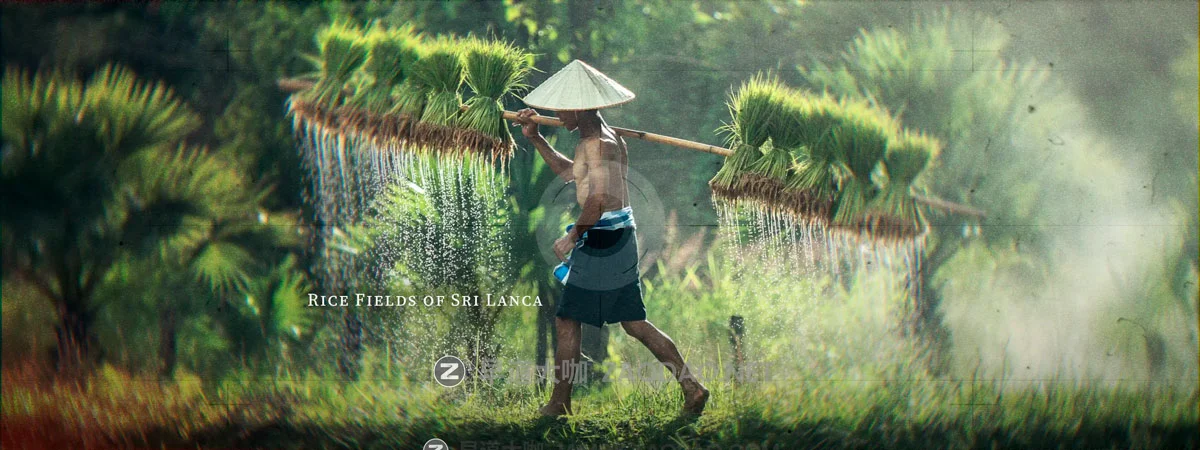 72组电影美学叙事新闻事件冻结帧叠加时间线字体排版转场达芬奇特效素材 MotionVFX – mDocumentary For DaVinci Resolve插图1 72组电影美学叙事新闻事件冻结帧叠加时间线字体排版转场达芬奇特效素材 MotionVFX – mDocumentary For DaVinci Resolve插图1