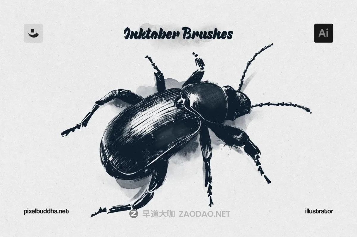 2024100271zaw 2024100271zaw