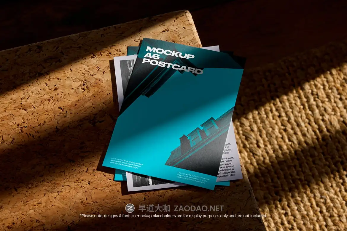 20241003yzai0 20241003yzai0