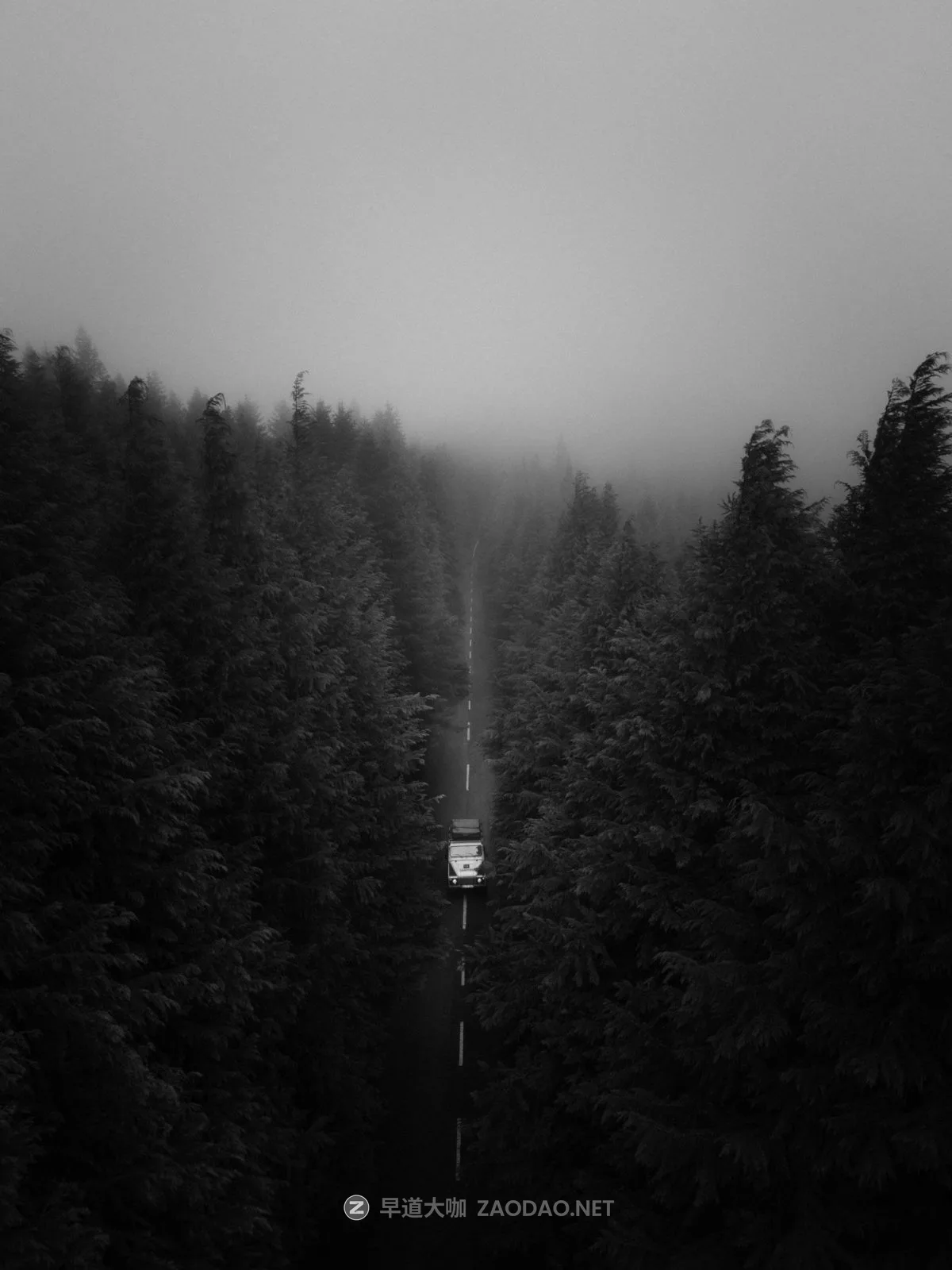 202410040vww1 202410040vww1