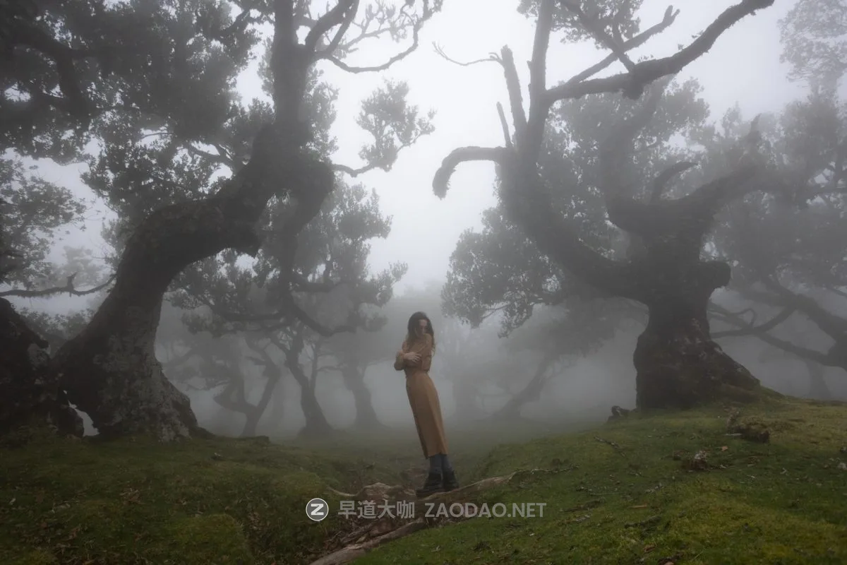 202410043f4ol 202410043f4ol