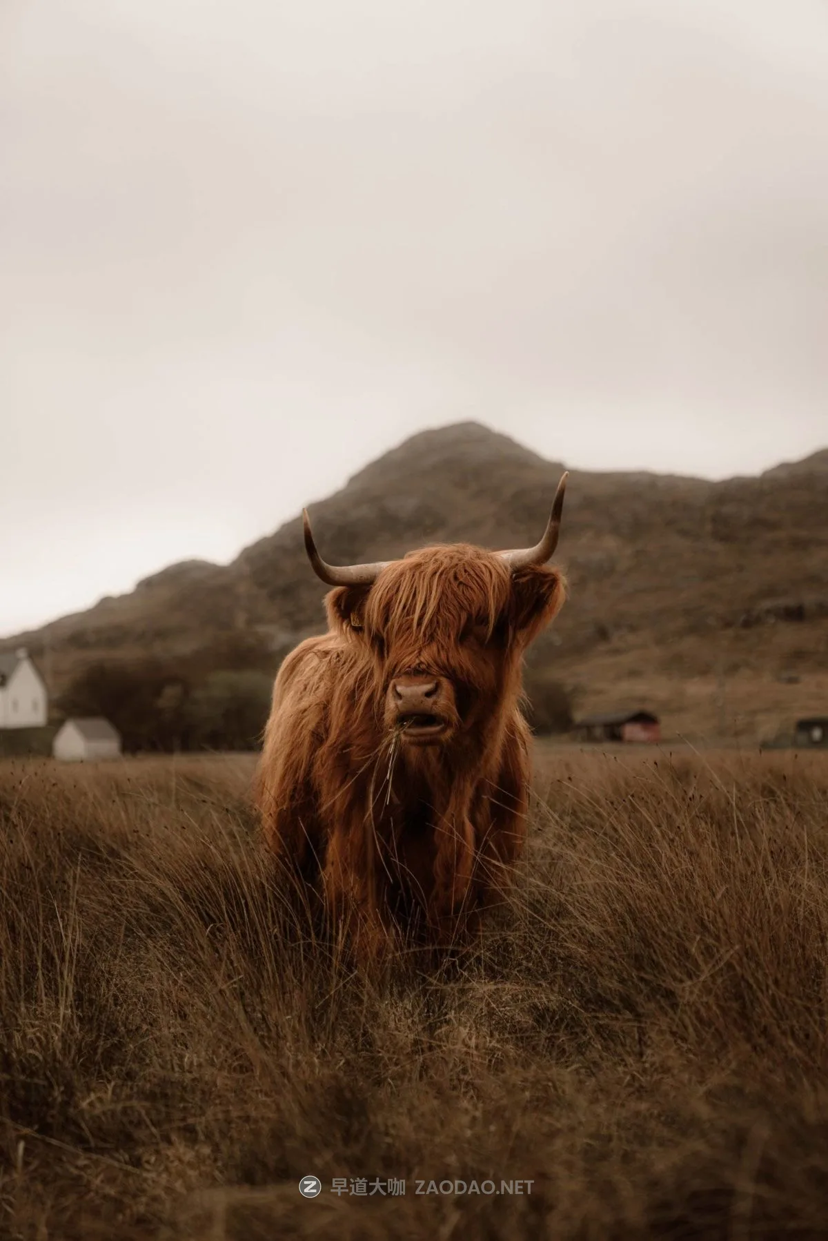 202410044kgr3 202410044kgr3