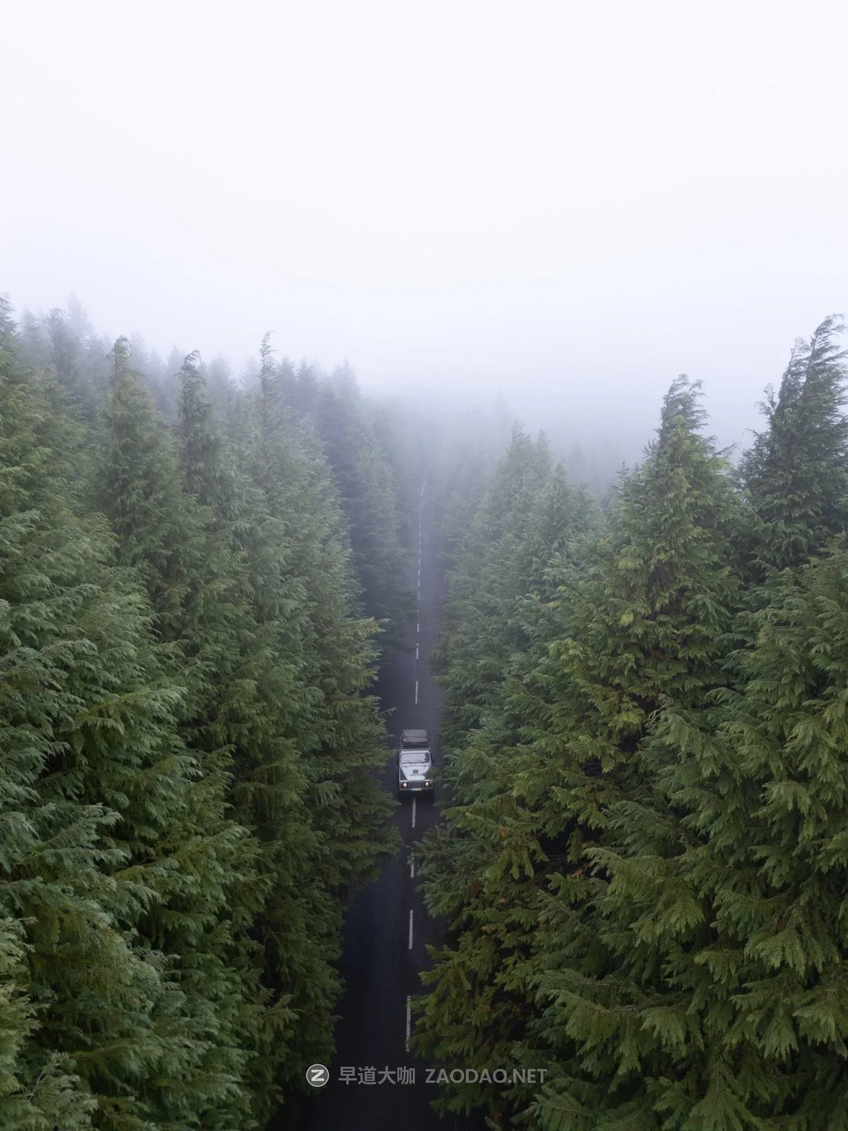 20241004ovg5q 20241004ovg5q