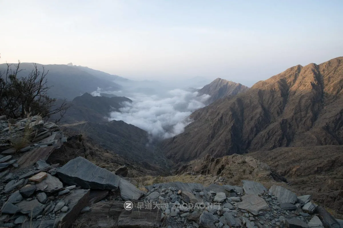 20241004q19pu 20241004q19pu