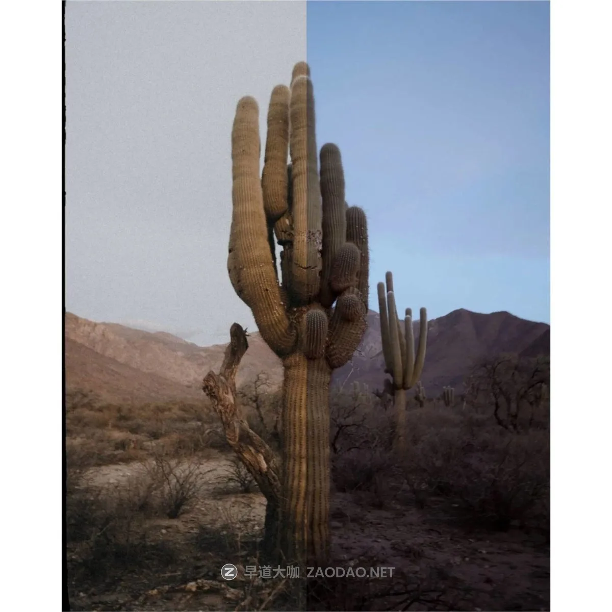 20241006r1ycp 20241006r1ycp