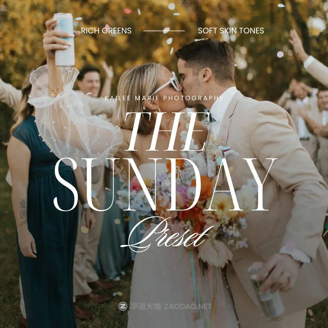 20241008i04dd 20241008i04dd