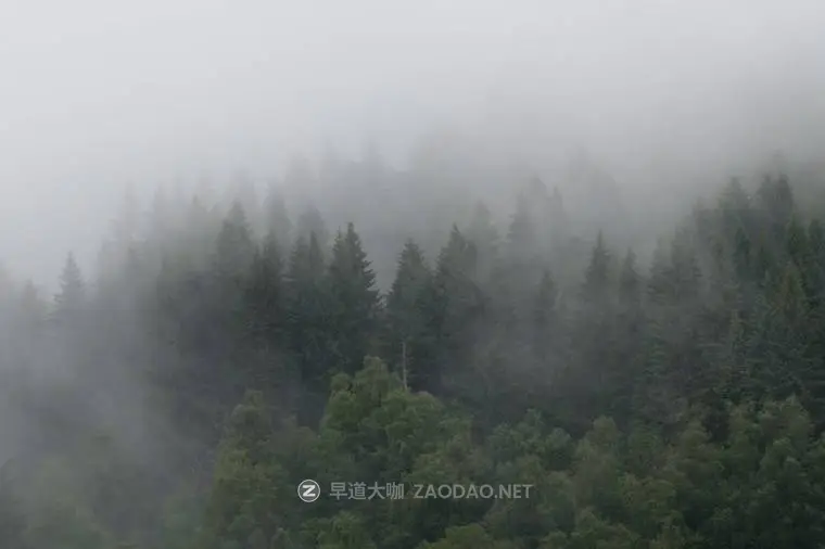 2024101019cwz 2024101019cwz