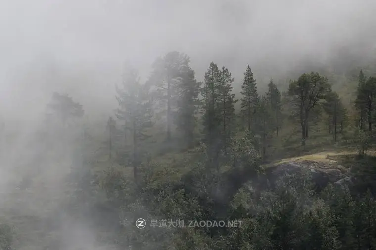 20241010icu1l 20241010icu1l