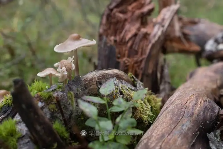 20241010lphzi 20241010lphzi