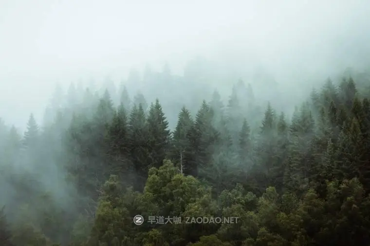 20241010q7x9h 20241010q7x9h