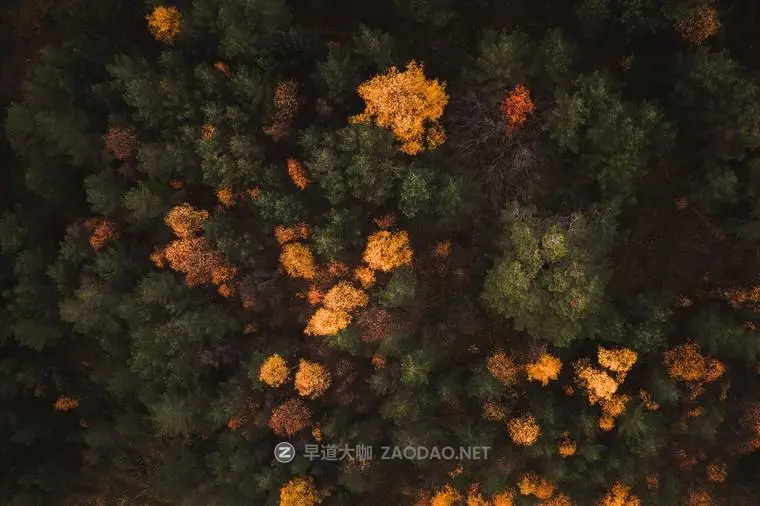 20241010z64yb 20241010z64yb