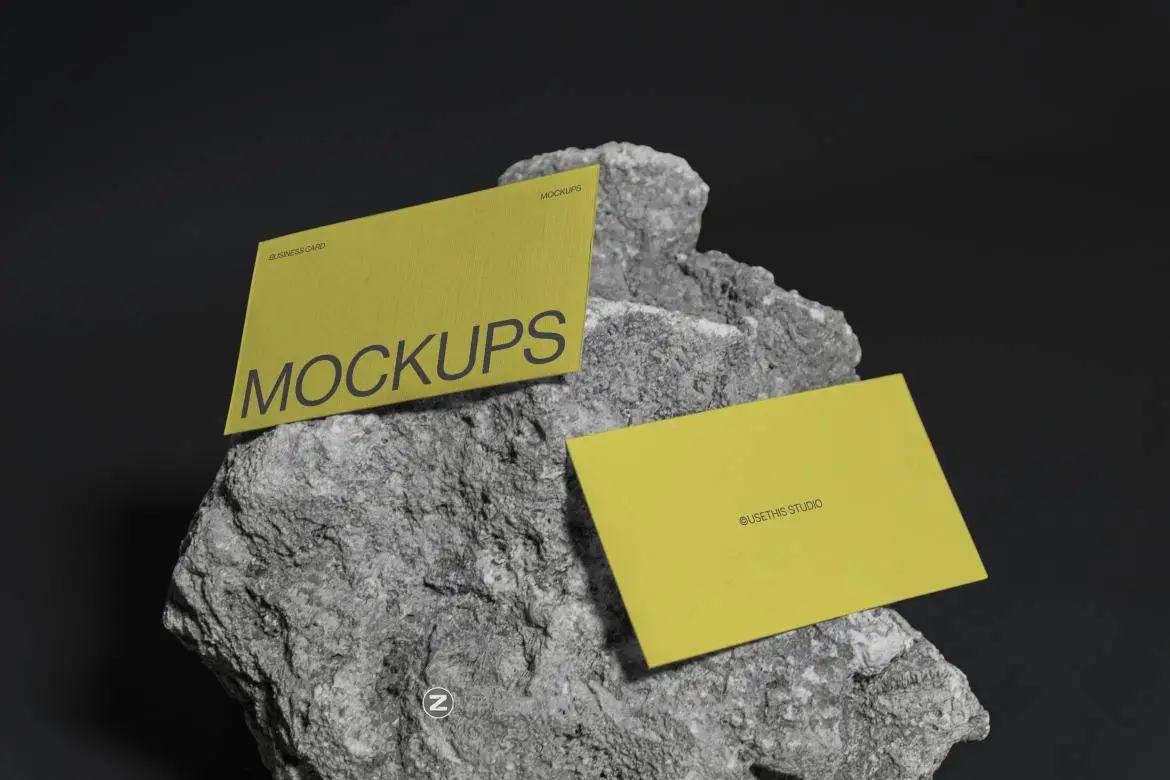 20241012f11df 20241012f11df