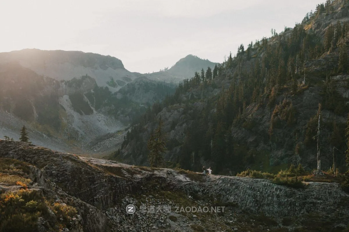 20241014zscyc 20241014zscyc