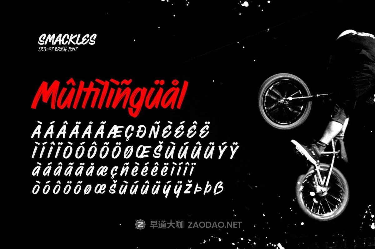 20241016ck8le 20241016ck8le