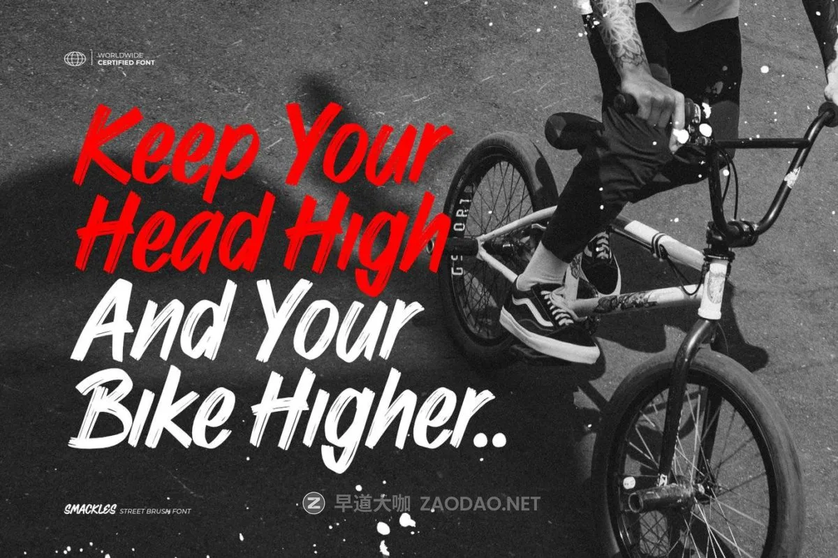 20241016p4pgd 20241016p4pgd