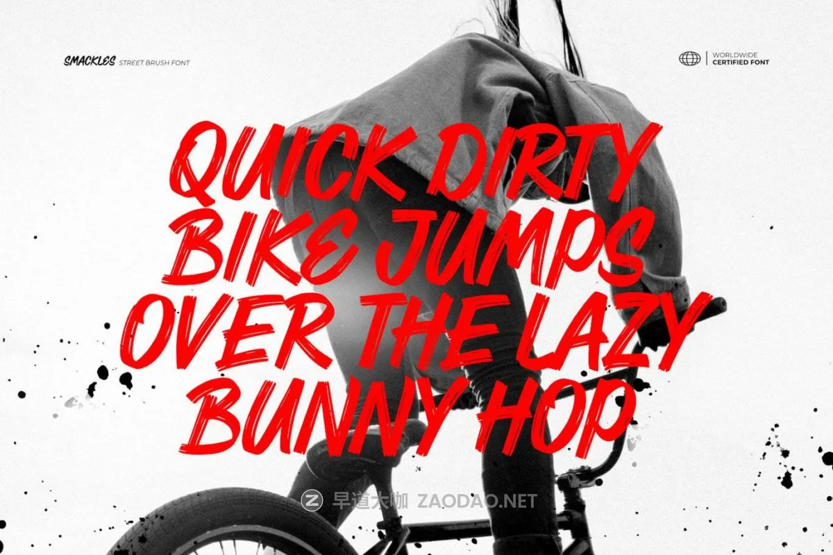 20241016tm48q 20241016tm48q