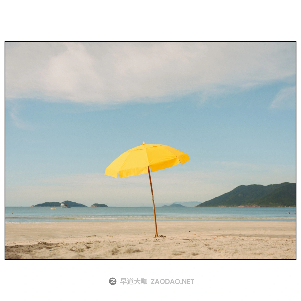 20241016z2f6w 20241016z2f6w